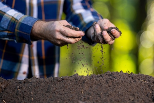 Shutterstock fertilisantssolsagri