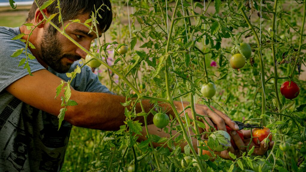 Agriculteur